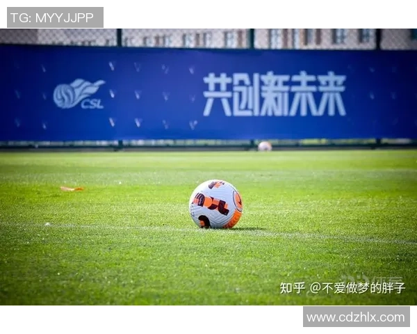 足球毛抬的魅力与挑战探讨如何提升中国足球的整体水平与未来发展方向